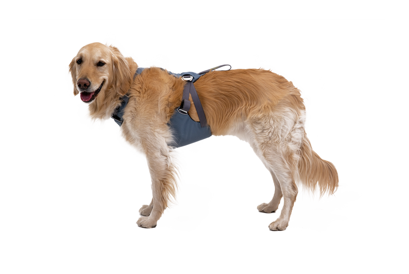 Ruffwear Load Up™ Dog Car Harness