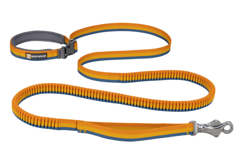 Ruffwear Roamer™ Bungee Dog Leash