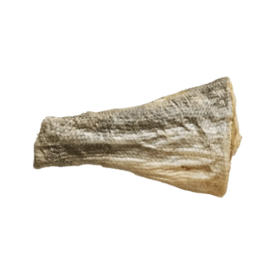 A dried fish skin or skin wrap piece with a textured, scaled surface, shown against a plain white background.