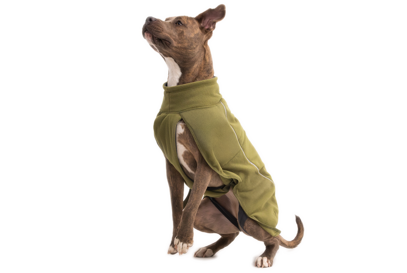 Ruffwear Climate Changer™ Fleece Vest