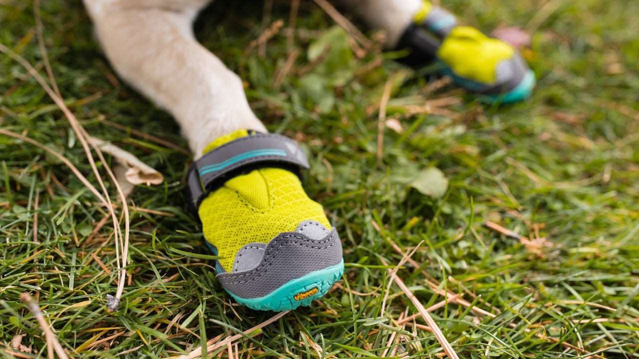 Grip Trex™ Dog Boots