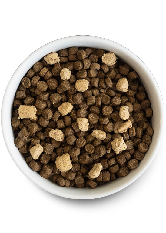 Open Farm RawMix – Raw-Inspired Kibble for Dogs