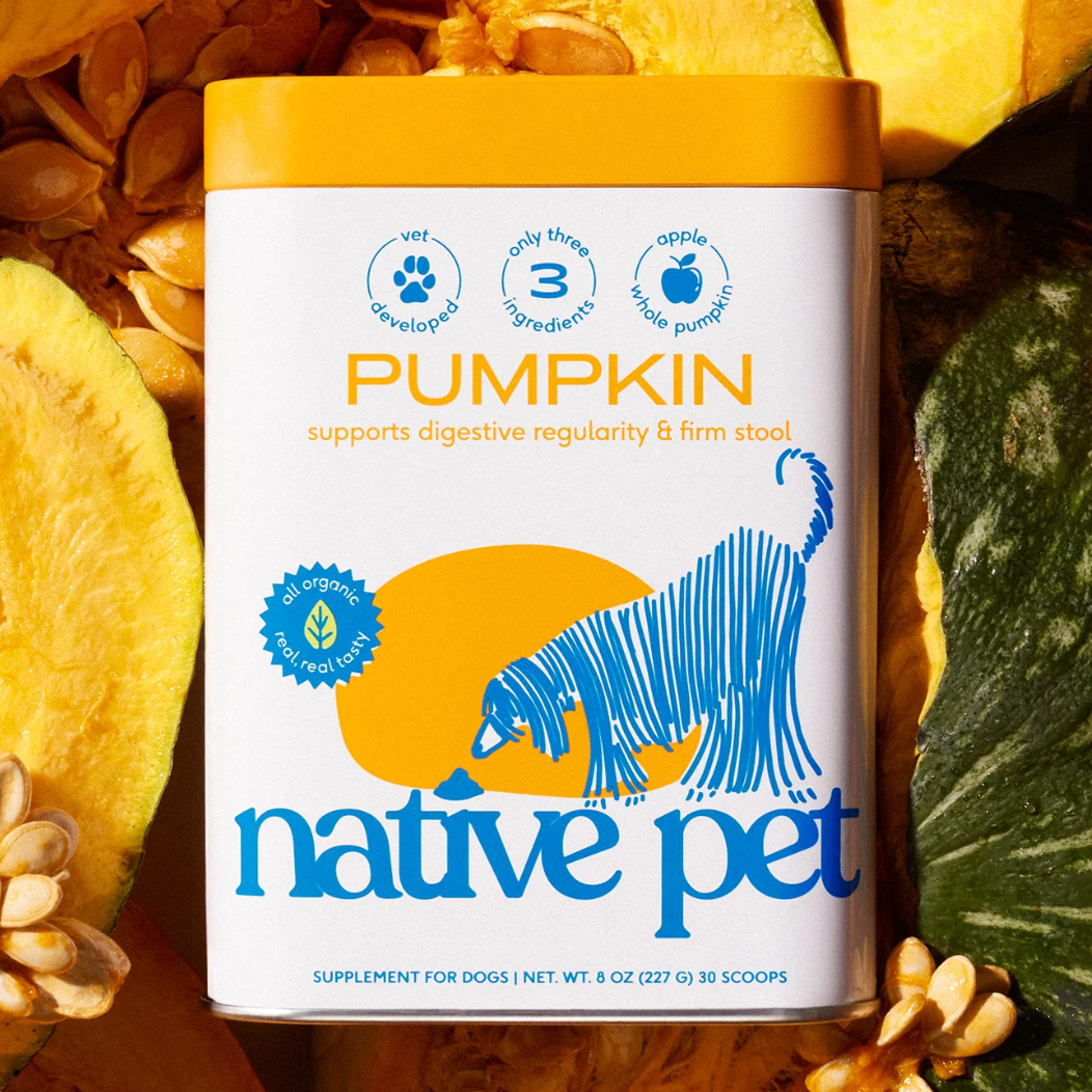Pumpkin
