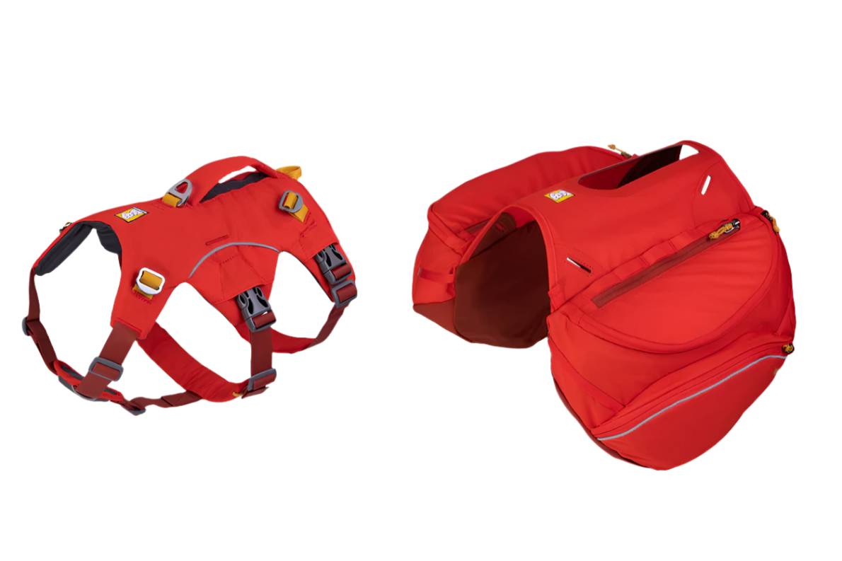 Palisades™ Dog Backpack