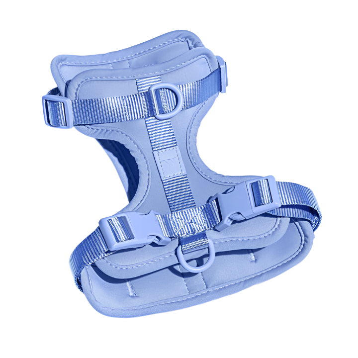 Comfort Dog Harness