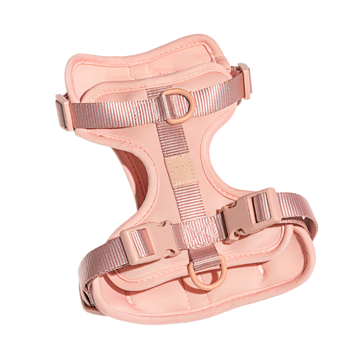 Comfort Dog Harness