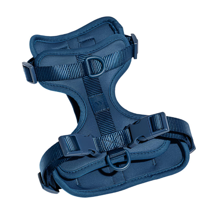 Comfort Dog Harness