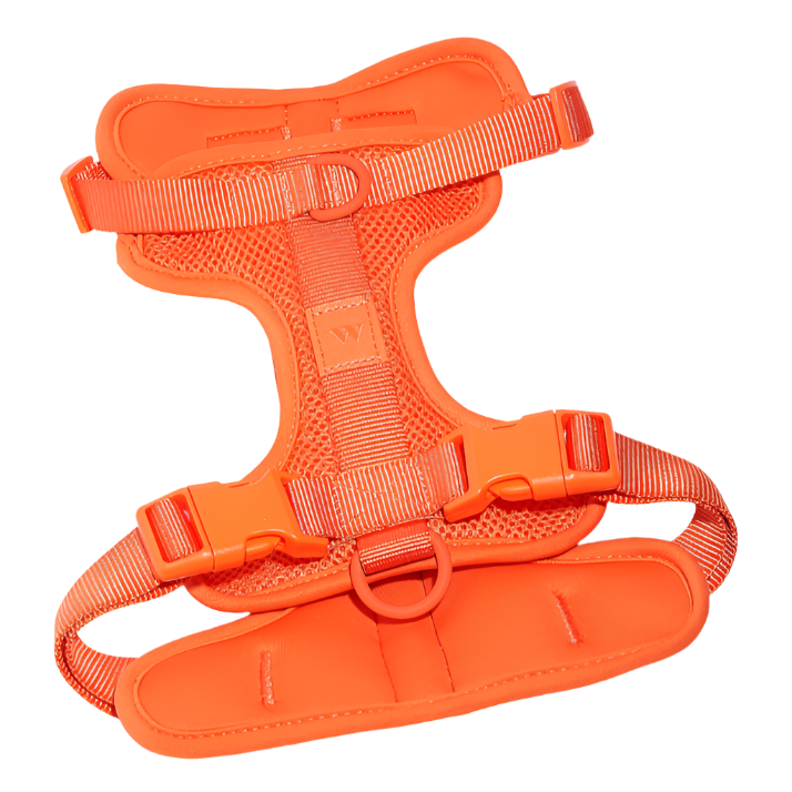 Comfort Dog Harness