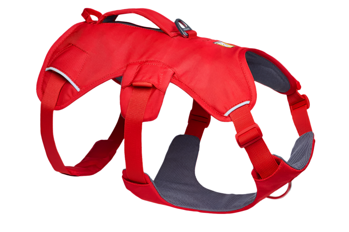 Web Master™ Dog Harness with Handle