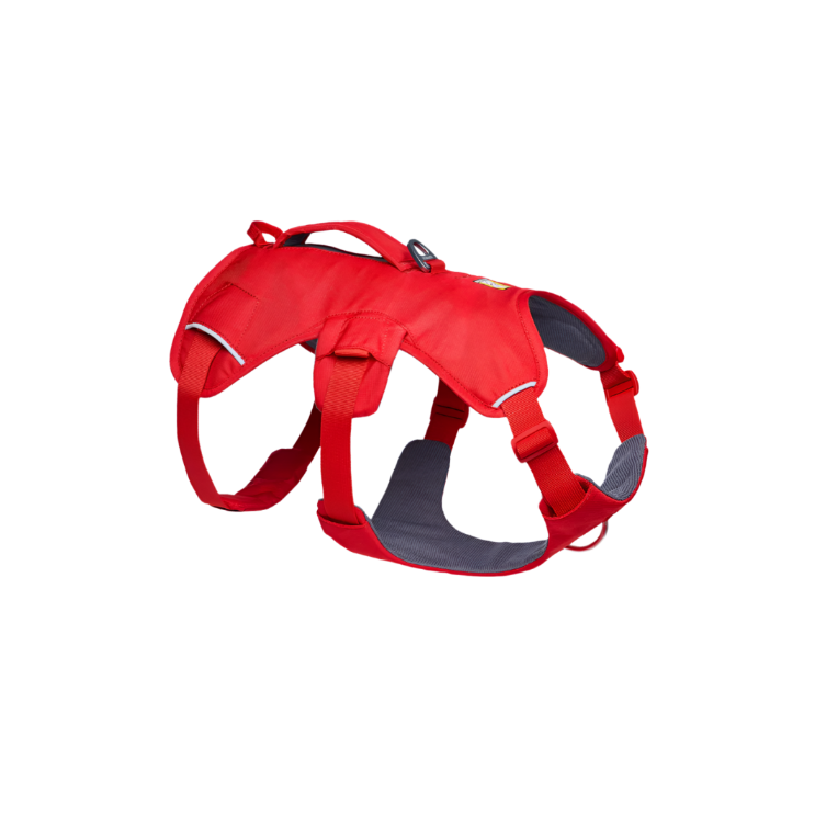 Web Master™ Dog Harness with Handle