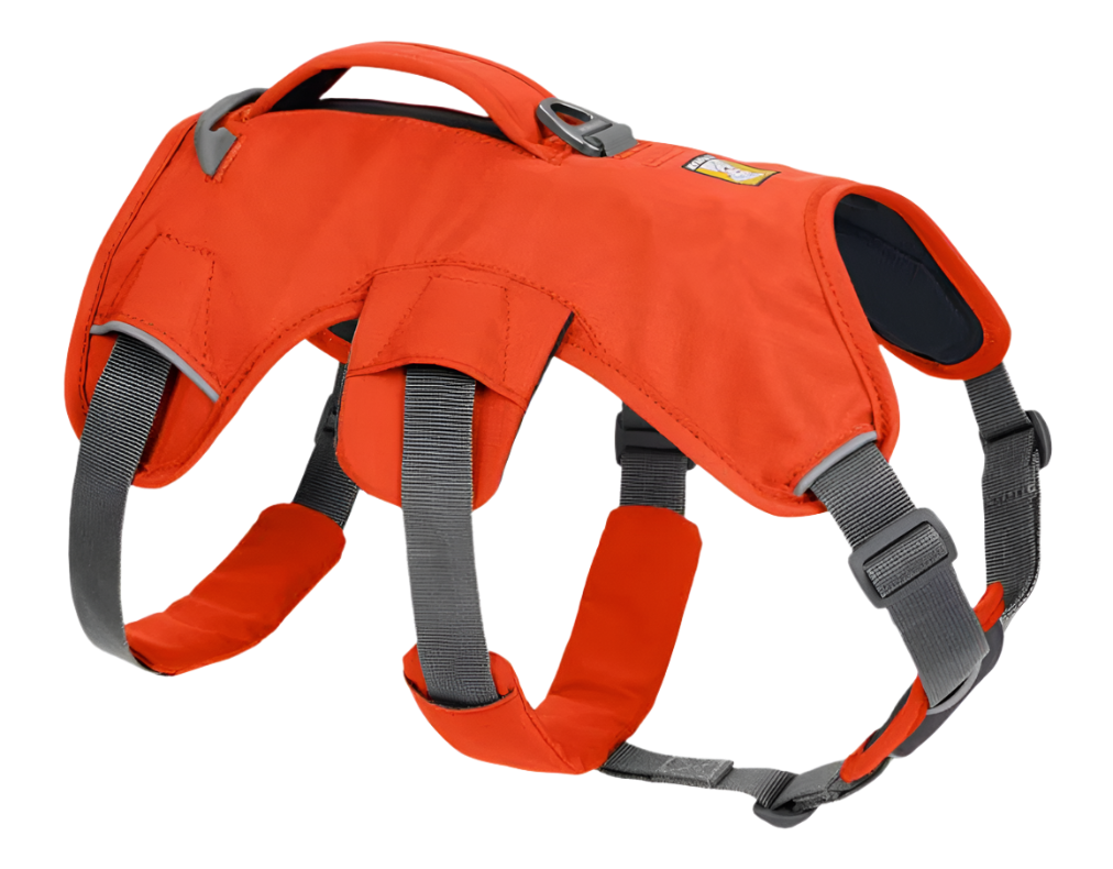 Web Master™ Dog Harness with Handle