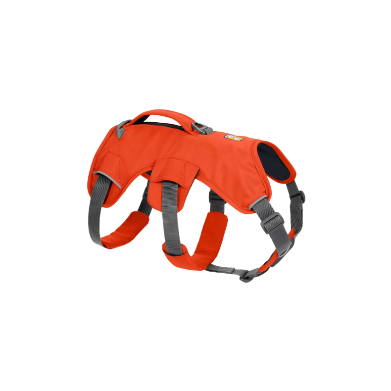 Web Master™ Dog Harness with Handle
