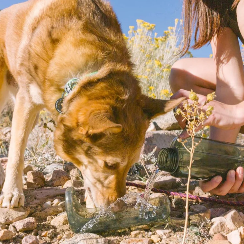 OllyDog OllyBottle - Water Sharing System
