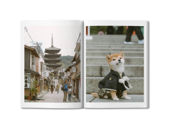 DOG: Stories of Dog Ownership