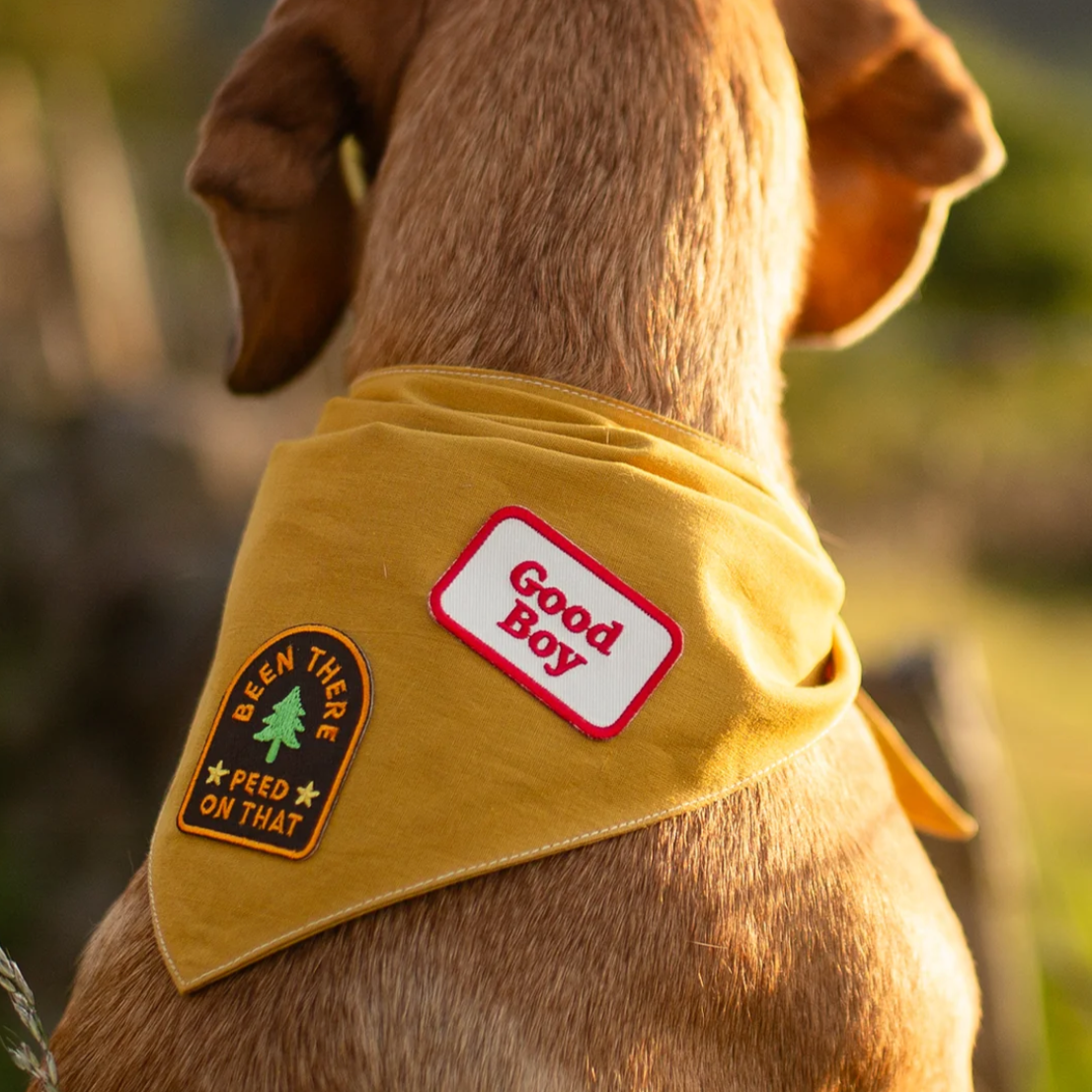 Iron on Patch by Scout's Honour