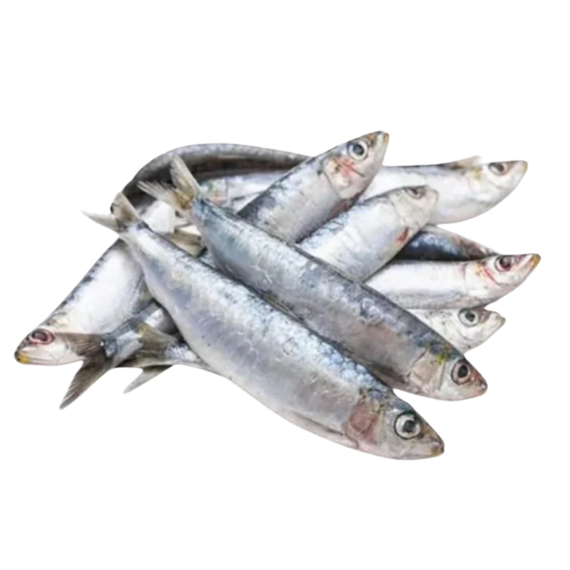 Frozen Raw Sardines for Dogs (1 lb.)
