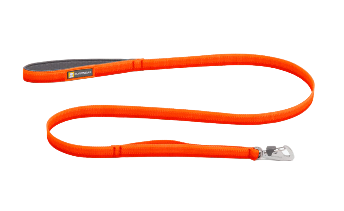 Orange dog leash with a metal clip on a transparent background