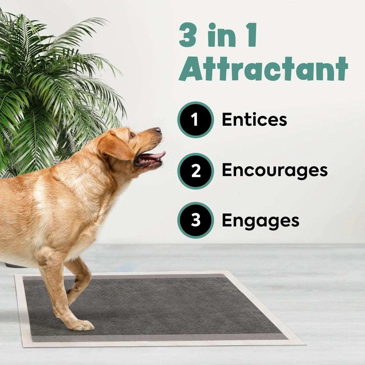 Bark & Clean - Disposable Training Pads