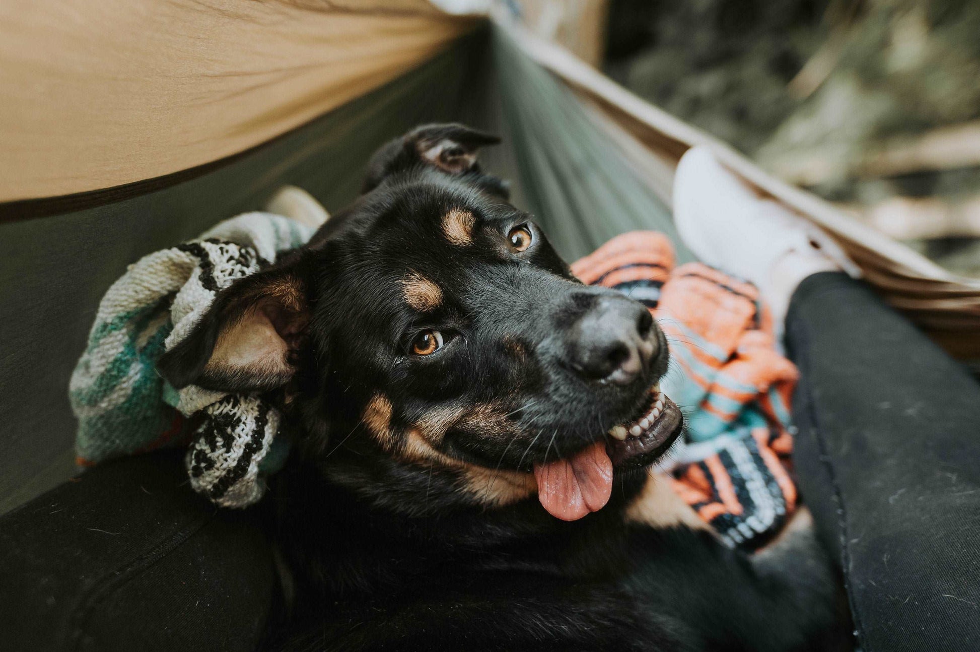 Camp Blanket