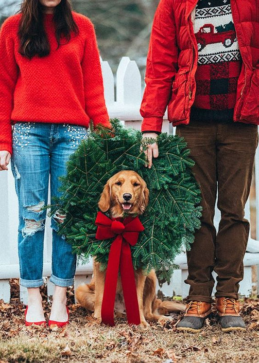 Best Practice Guide to Family Photos with Your Pup!