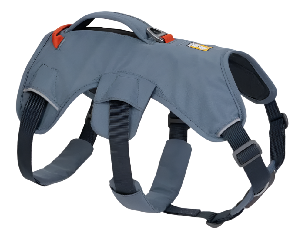 Dog Harnesses