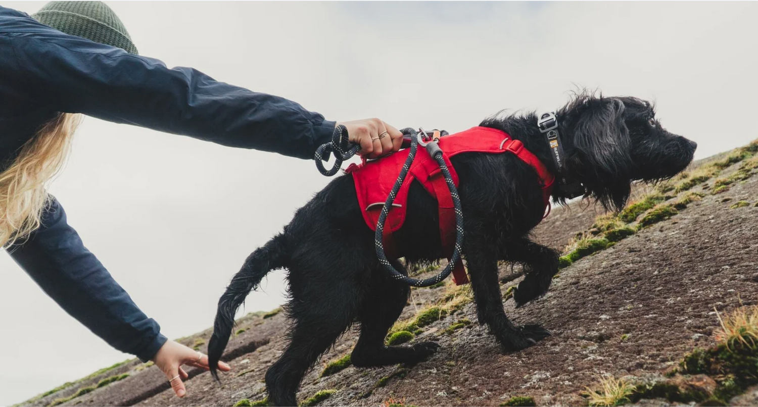 Ruffwear