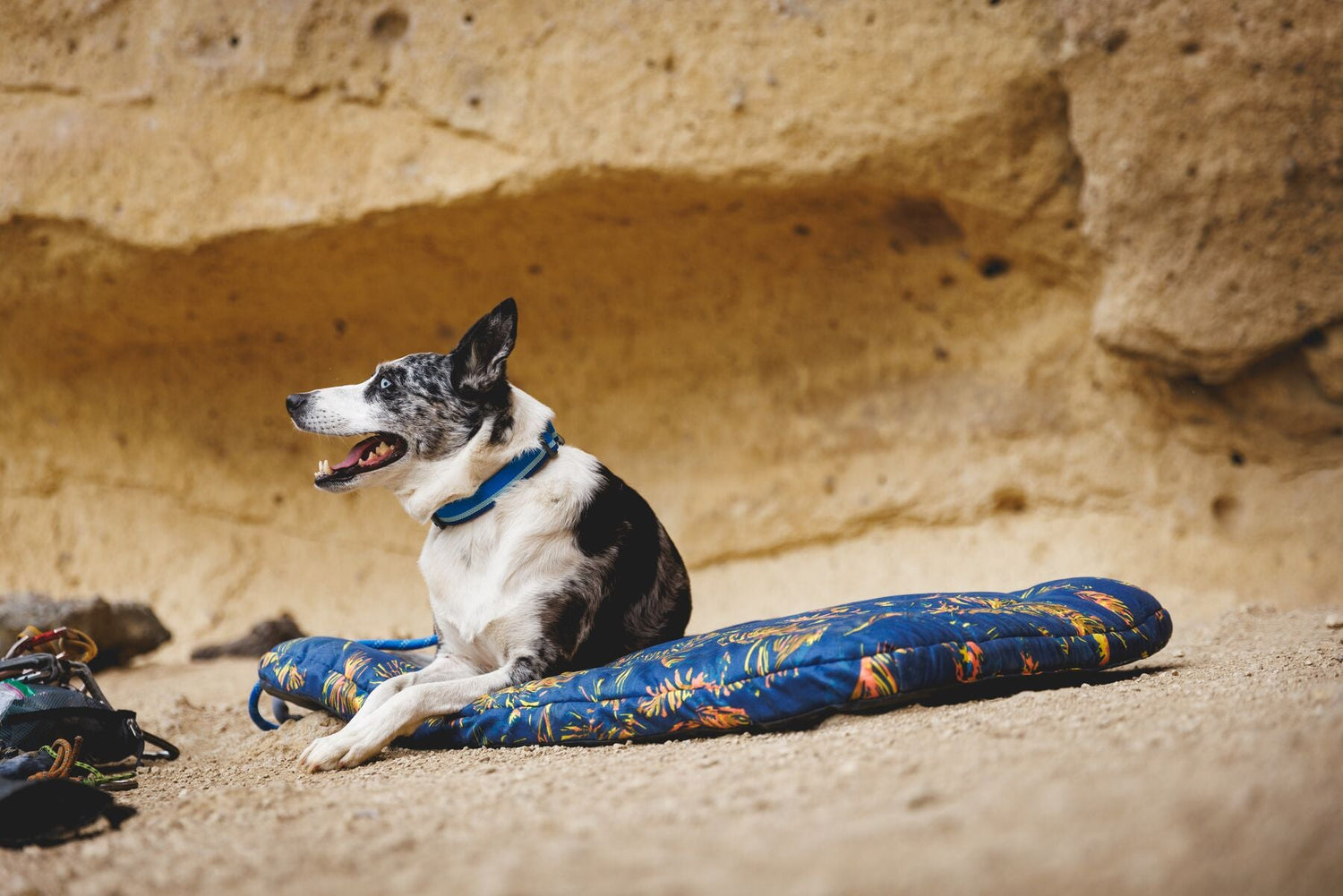 Dog Beds