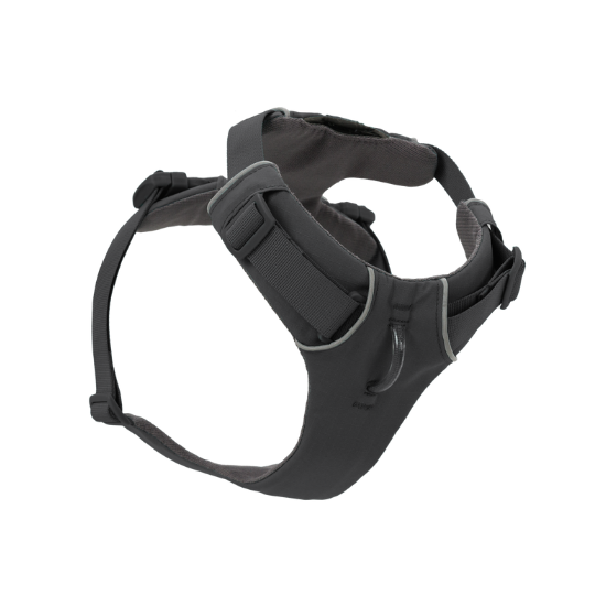 Black dog harness on a white background