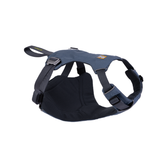 Dog harness with brand logo on a white background