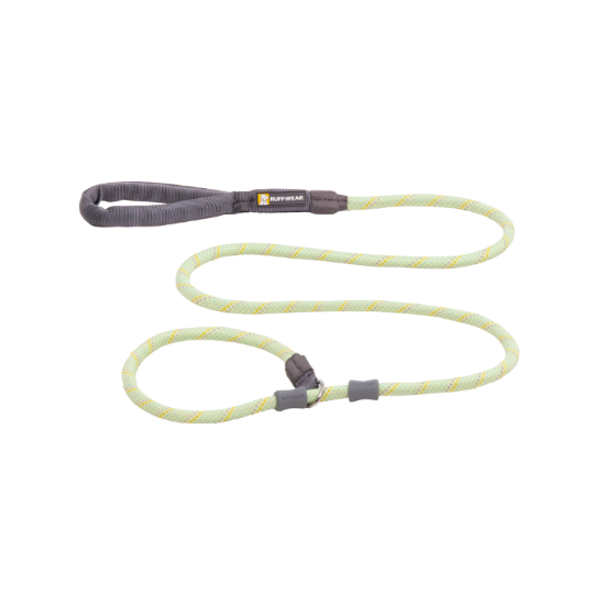 Dog leash with gray clips on a white background