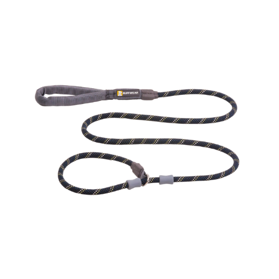 Dog leash with gray clips on a white background