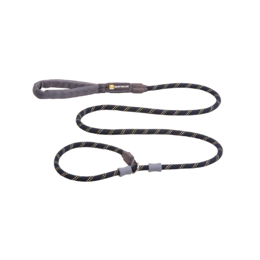 Dog leash with gray clips on a white background