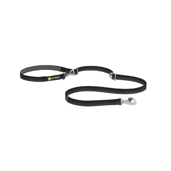 Black dog leash with a clip on a white background