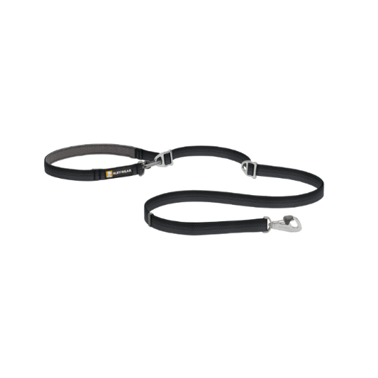 Black dog leash with a clip on a white background