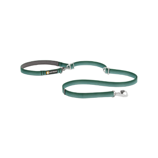 Green dog leash with a clip on a white background
