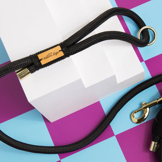 Hands-Free Rope Leash