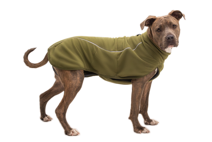 Ruffwear Climate Changer™ Fleece Vest