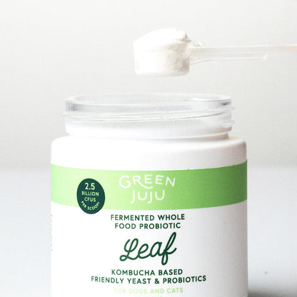 Green Juju Leaf - Fermented, Kombucha-Based Probiotic