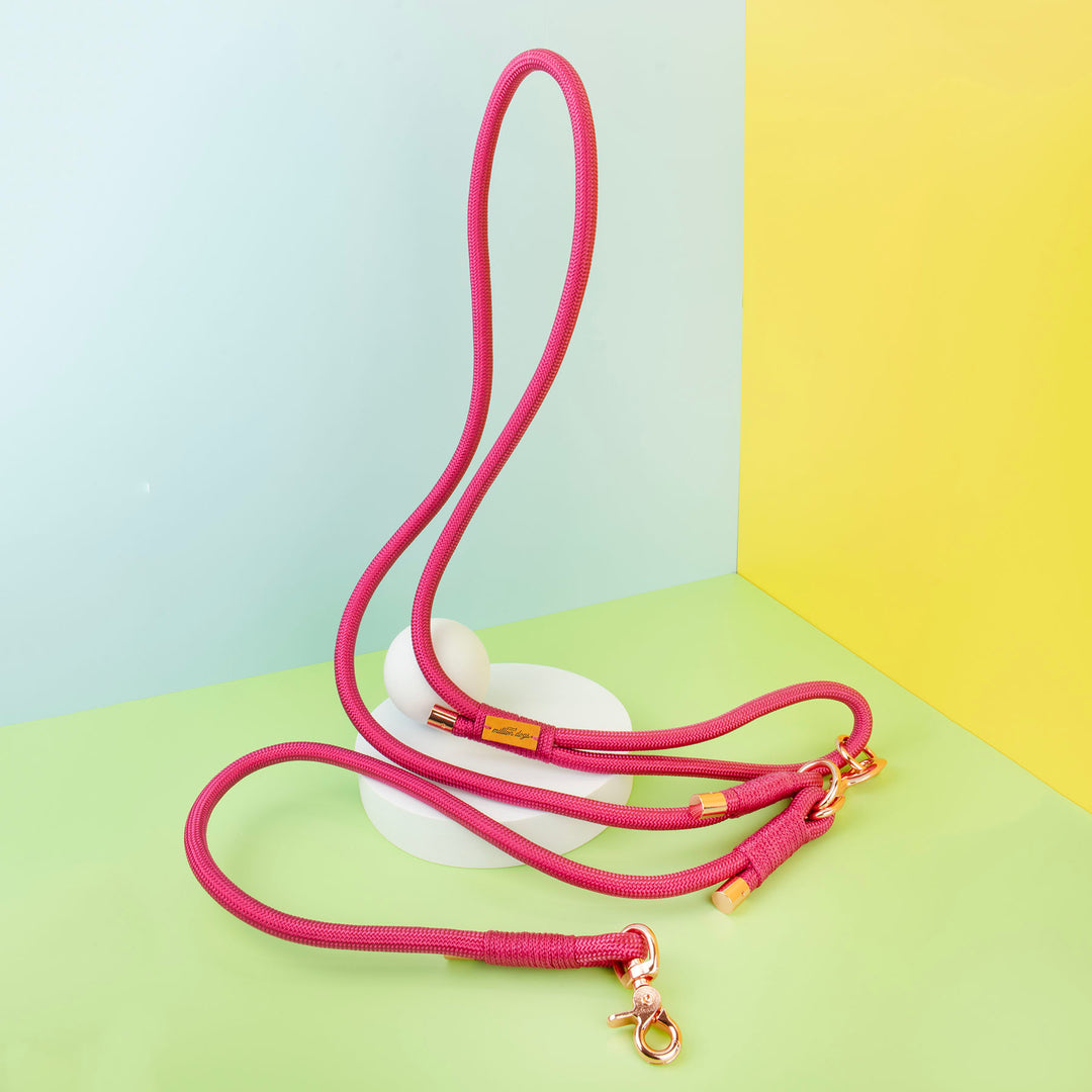 Hands-Free Rope Leash