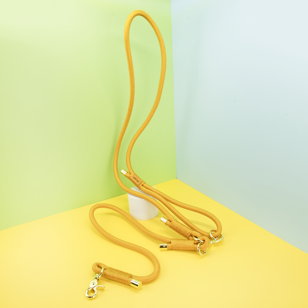 Hands-Free Rope Leash