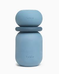 Fable Armadillo Puzzle Toy