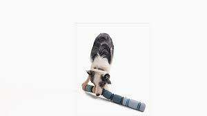 Fable Armadillo Puzzle Toy