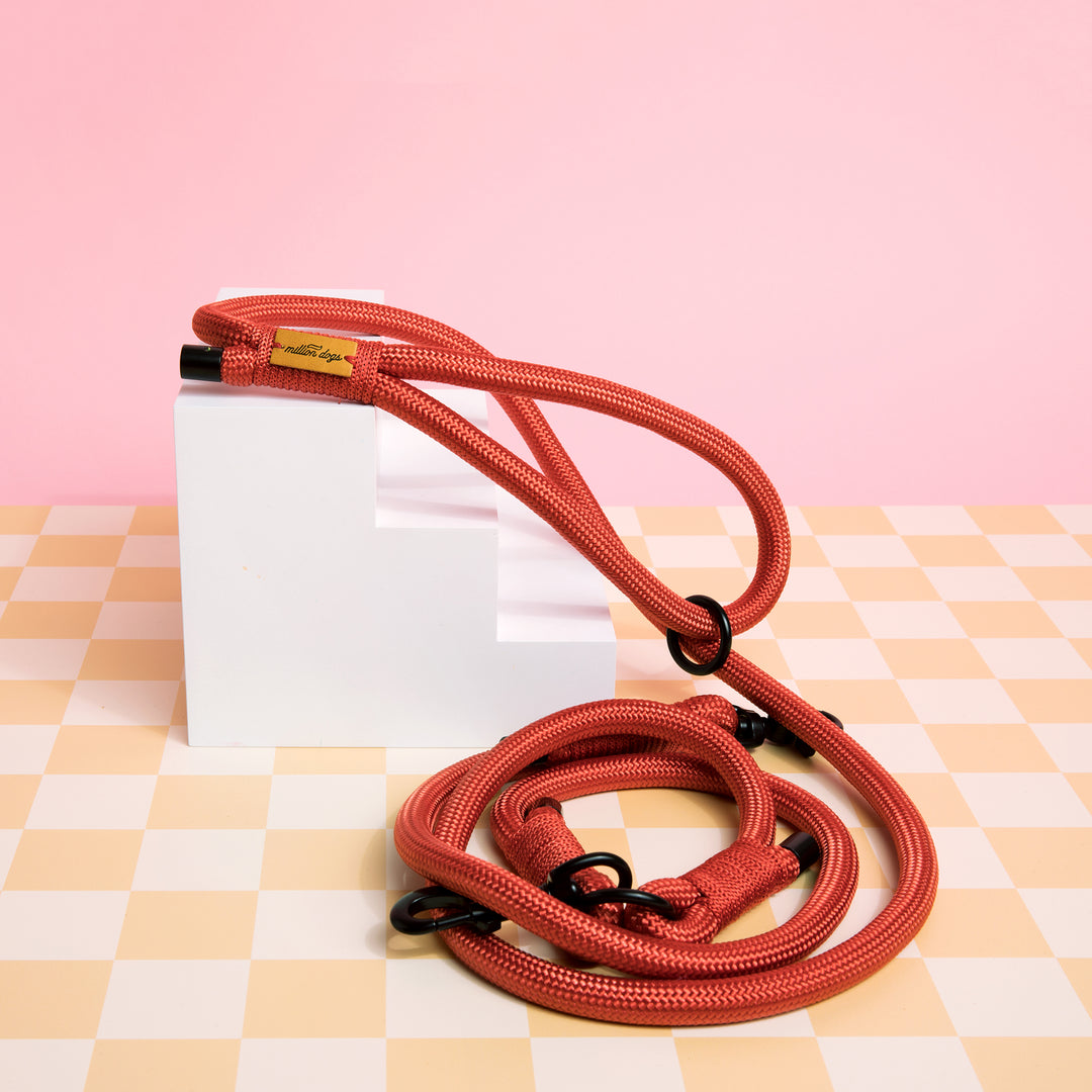 Hands-Free Rope Leash