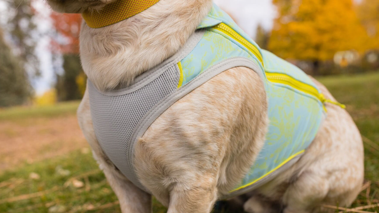 Swamp Cooler Zip™ Cooling Dog Vest