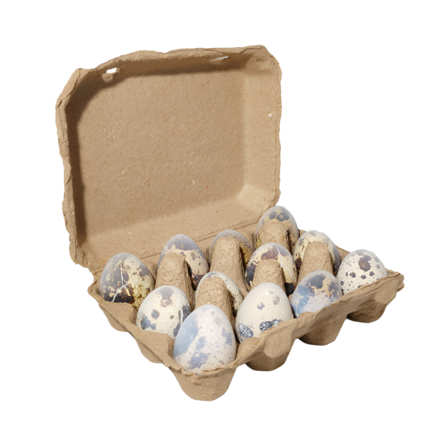 Frozen Quail Eggs – 1 Dozen
