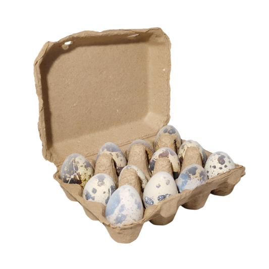 Frozen Quail Eggs – 1 Dozen