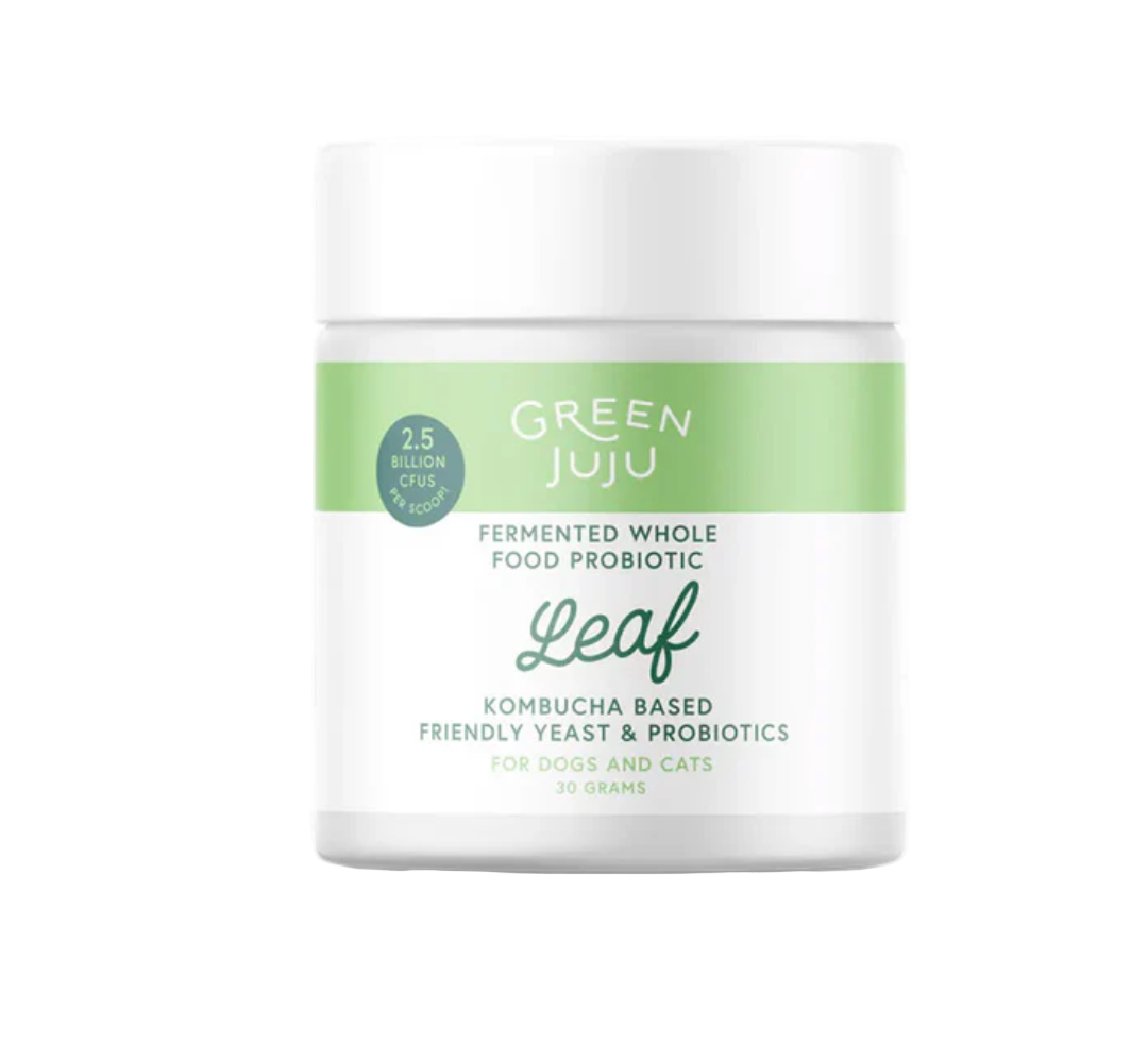 Green Juju probiotic product container on a white background