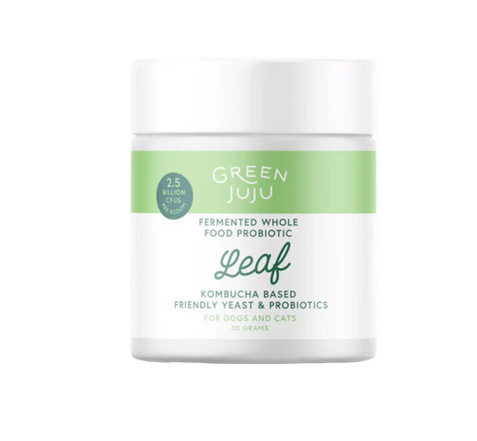 Green Juju probiotic product container on a white background