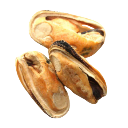 Frozen Raw Green Lipped Mussels