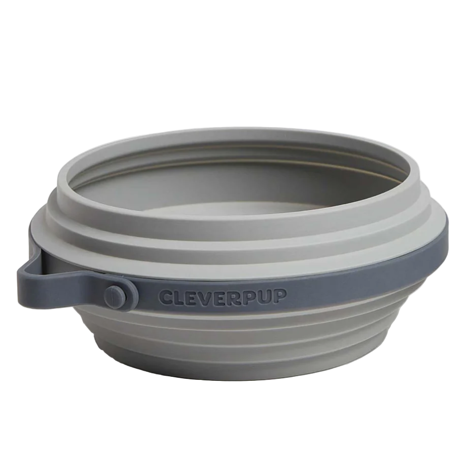 Cleverpup Nomad Collapsible Dog Bowl